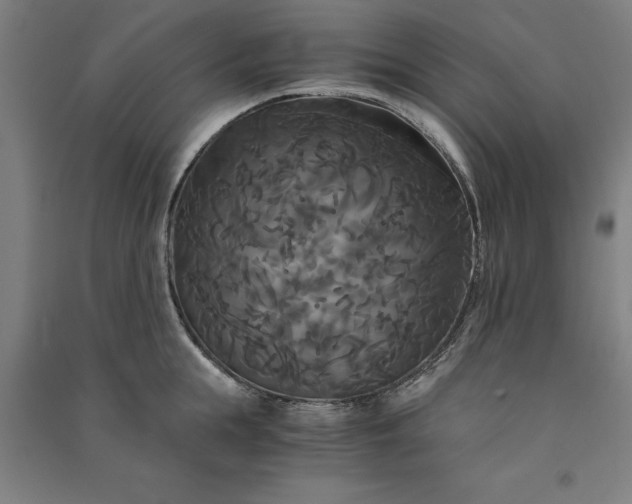 X0000091080855200708201432