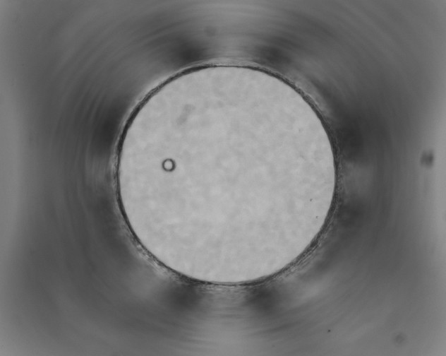 X0000091080856200708201432