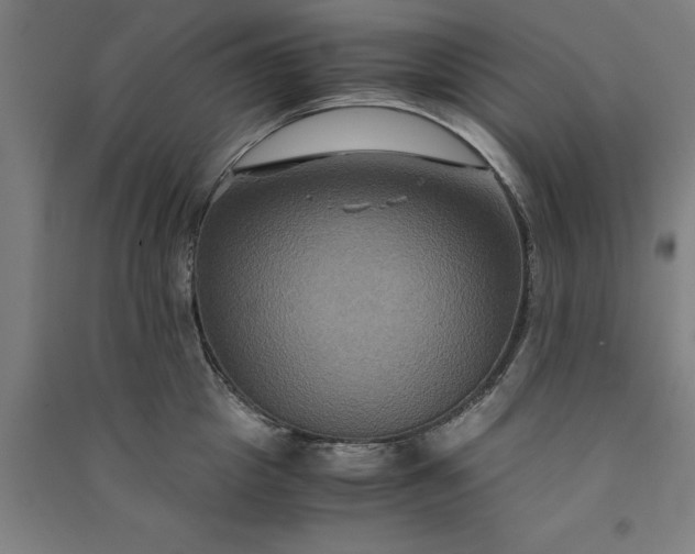 X0000091080857200708201432