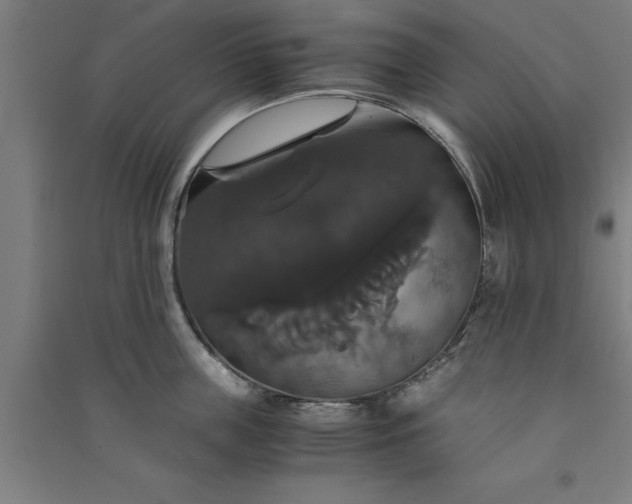 X0000091080859200708201432