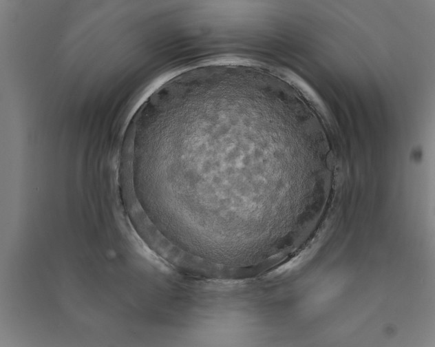 X0000091080860200708201432