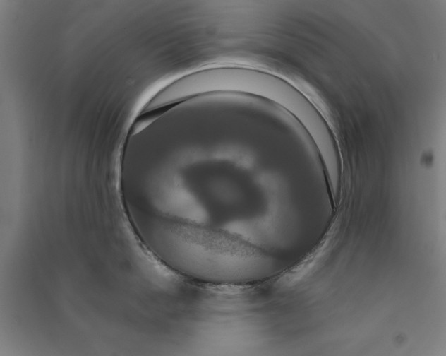 X0000091080862200708201432