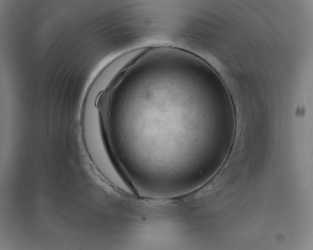 X0000091080864200708201432