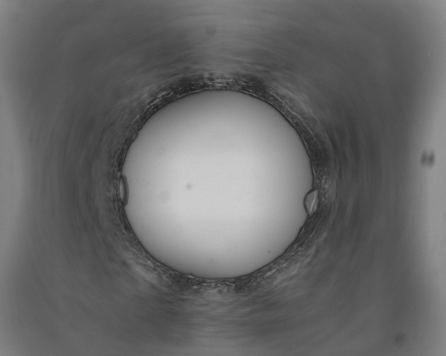 X0000091080865200708201431