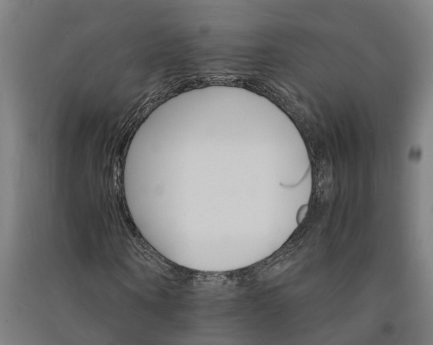 X0000091080866200708201431