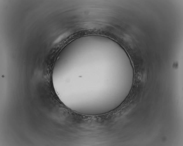 X0000091080869200708201431