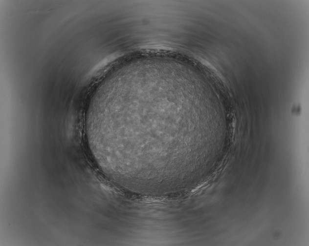 X0000091080870200708201431