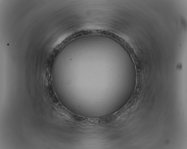 X0000091080871200708201431