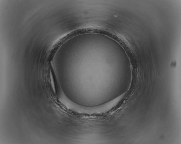 X0000091080872200708201431