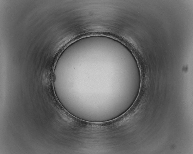 X0000091080873200708201431