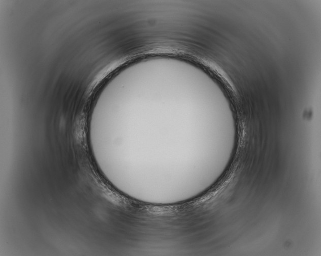 X0000091080874200708201431