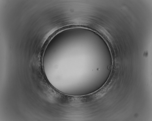 X0000091080875200708201431