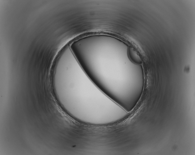 X0000091080876200708201431