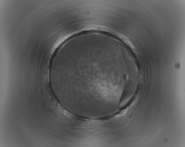 X0000091080877200708201431