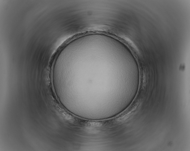 X0000091080878200708201431