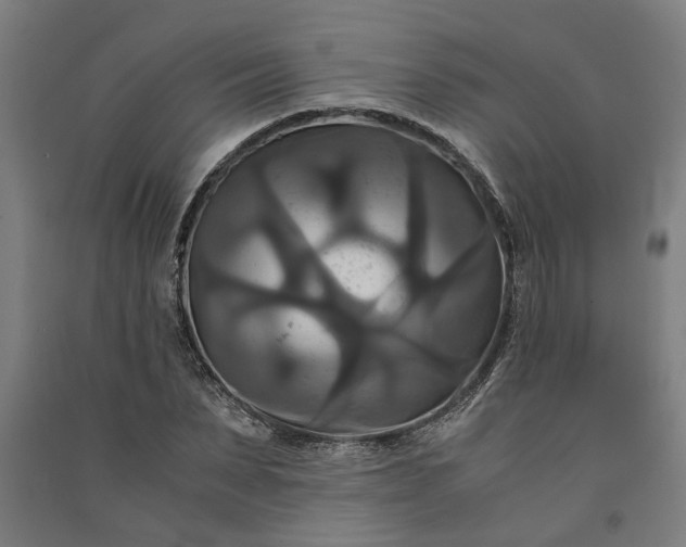 X0000091080879200708201431