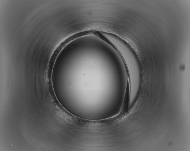 X0000091080880200708201431