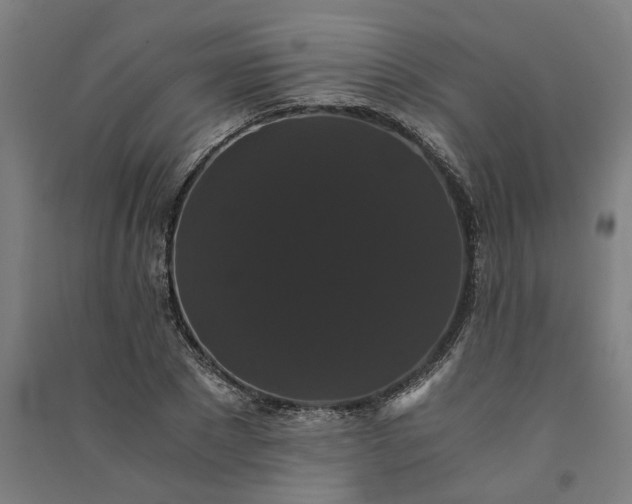 X0000091080881200708201431