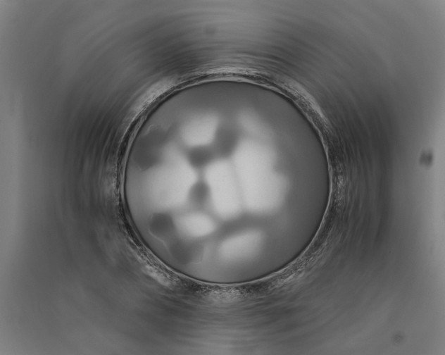 X0000091080882200708201431