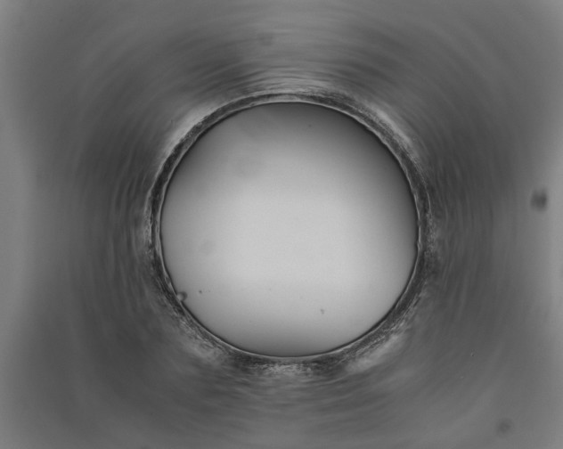 X0000091080883200708201431