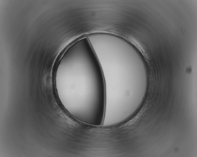 X0000091080884200708201431