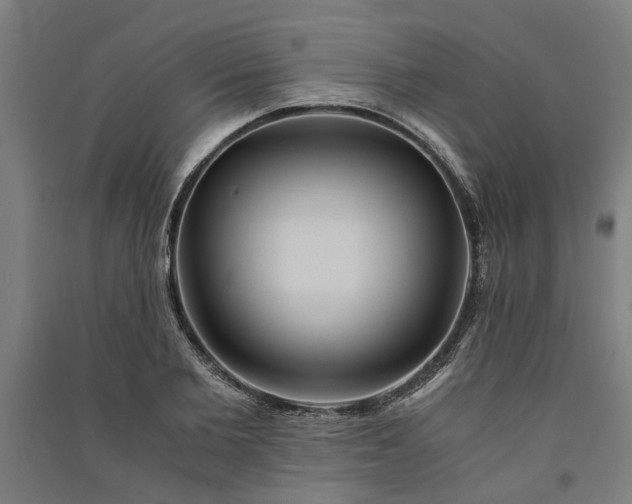 X0000091080885200708201431