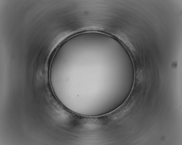 X0000091080886200708201431