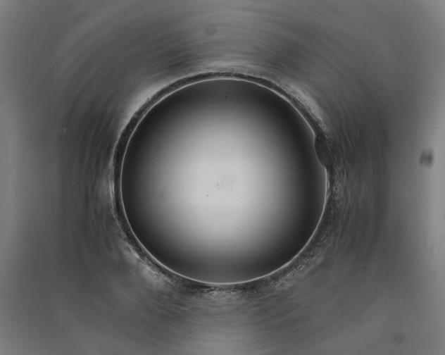 X0000091080888200708201431