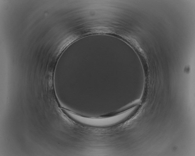 X0000091080889200708201431