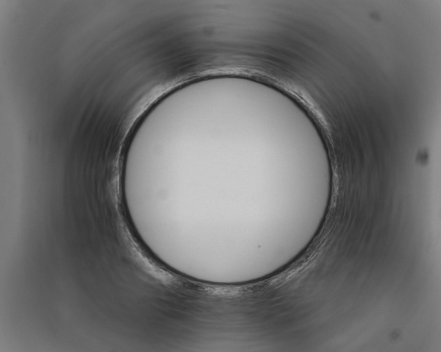 X0000091080890200708201431