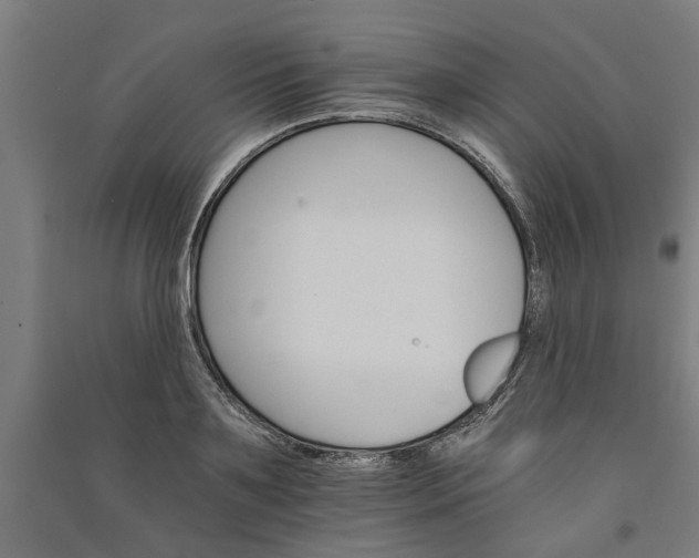 X0000091080891200708201431