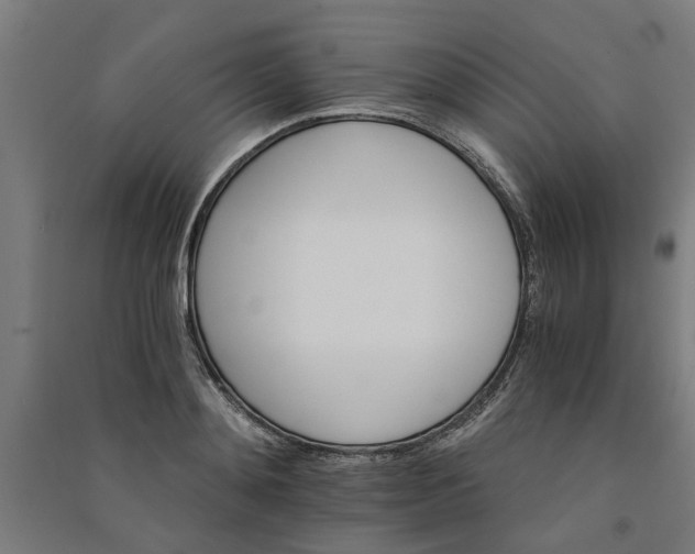 X0000091080892200708201431