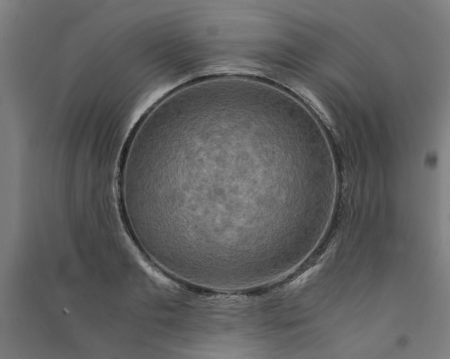 X0000091080893200708201431