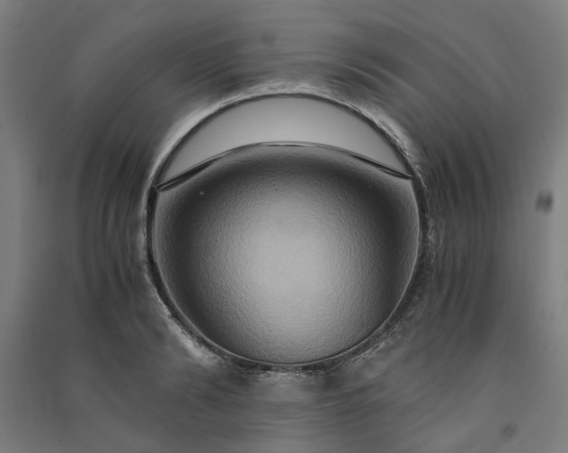 X0000091080894200708201431