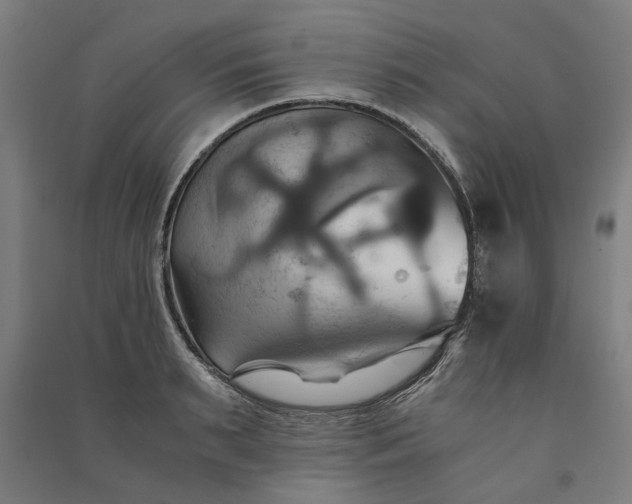 X0000091080895200708201431