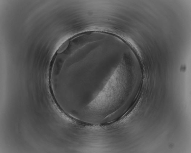 X0000091080896200708201431