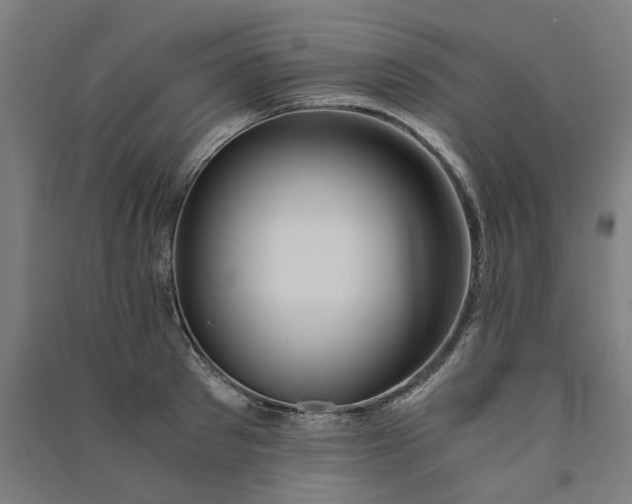 X0000091080897200708201431