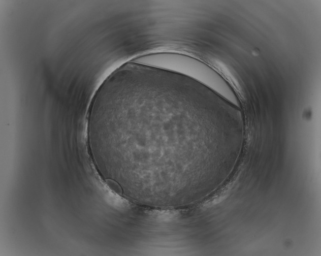 X0000091080900200708201431