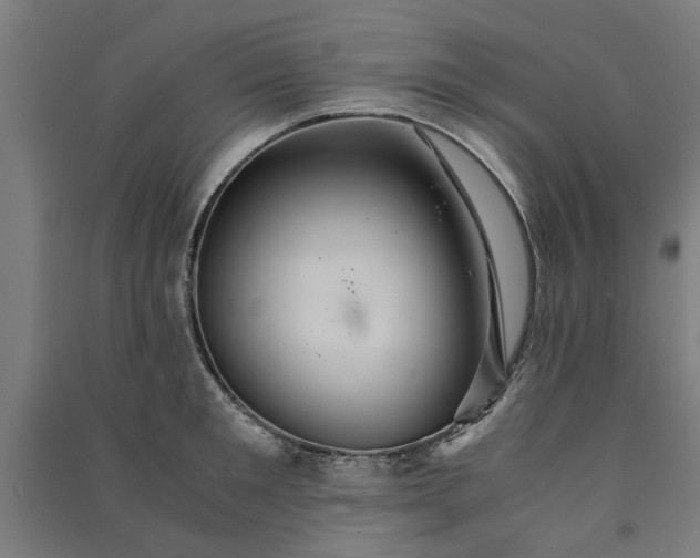 X0000091080901200708201431