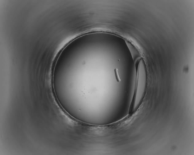 X0000091080902200708201431