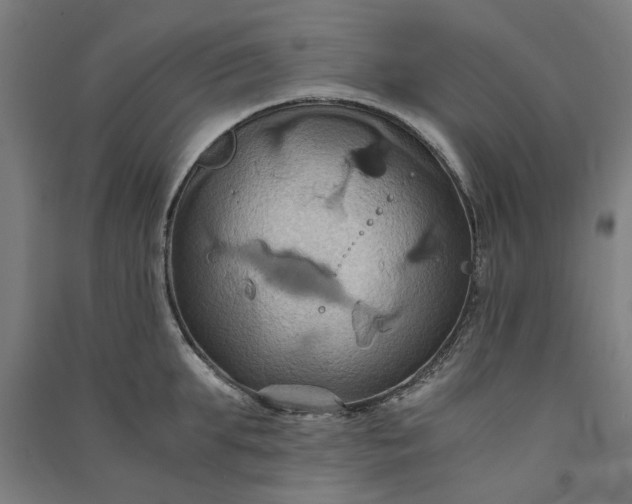 X0000091080903200708201431