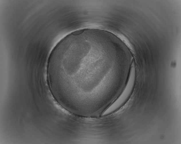 X0000091080904200708201431