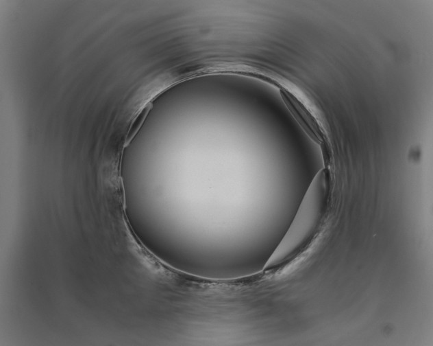 X0000091080905200708201431