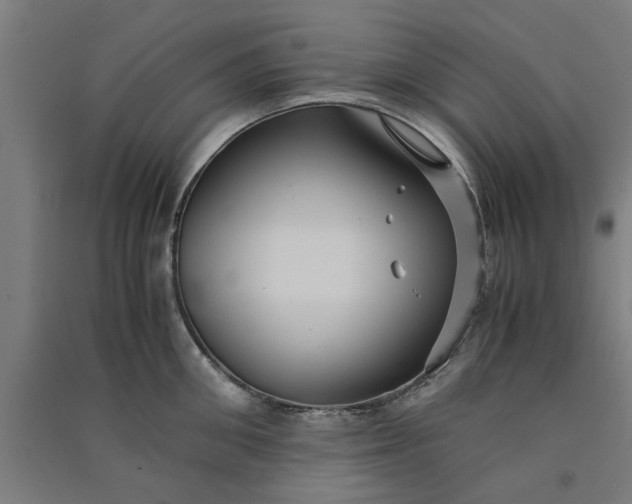 X0000091080906200708201431