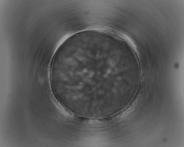 X0000091080907200708201431