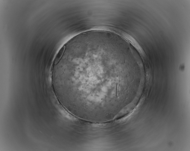 X0000091080908200708201431