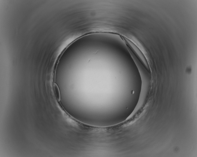 X0000091080909200708201431