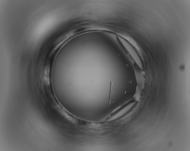 X0000091080910200708201431