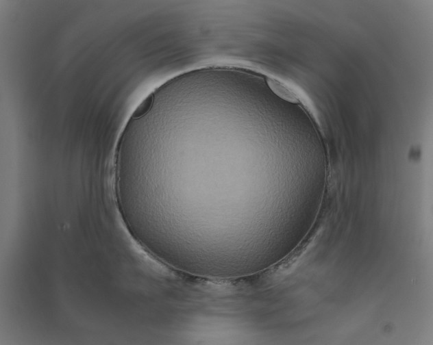 X0000091080911200708201431