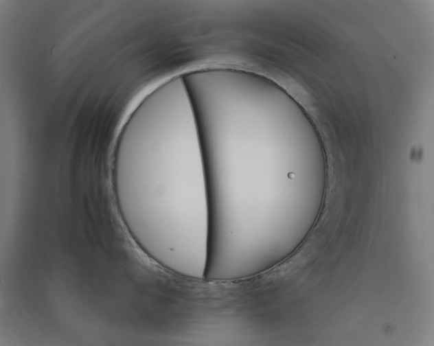 X0000091080912200708201431